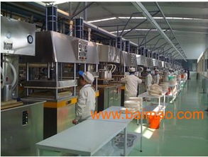 環保餐具產業鏈全景 從生產設備到終端供應的綠色革命